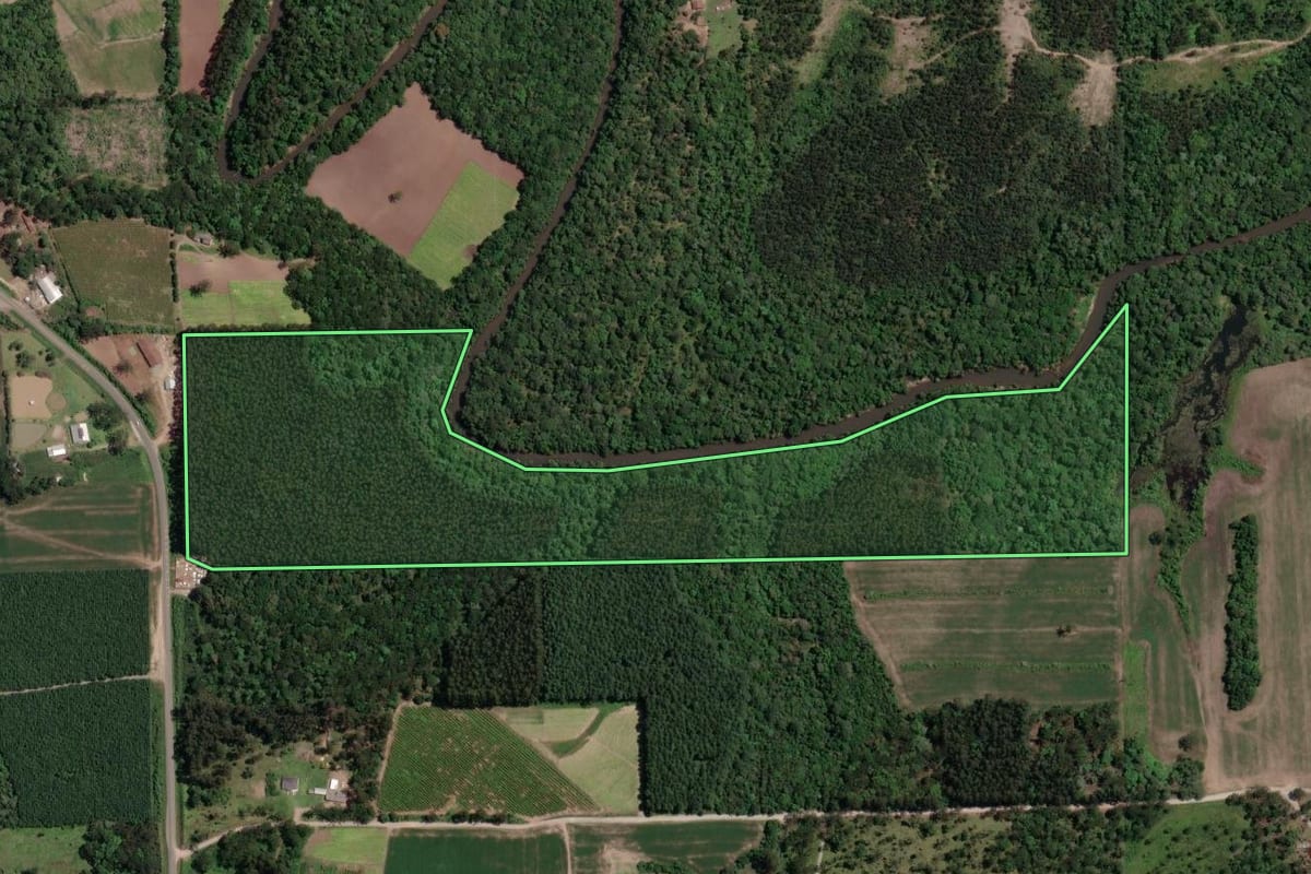 Imagem de satélite do imóvel rural em Mallet (PR), com o contorno declarado no CAR desenhado por cima.