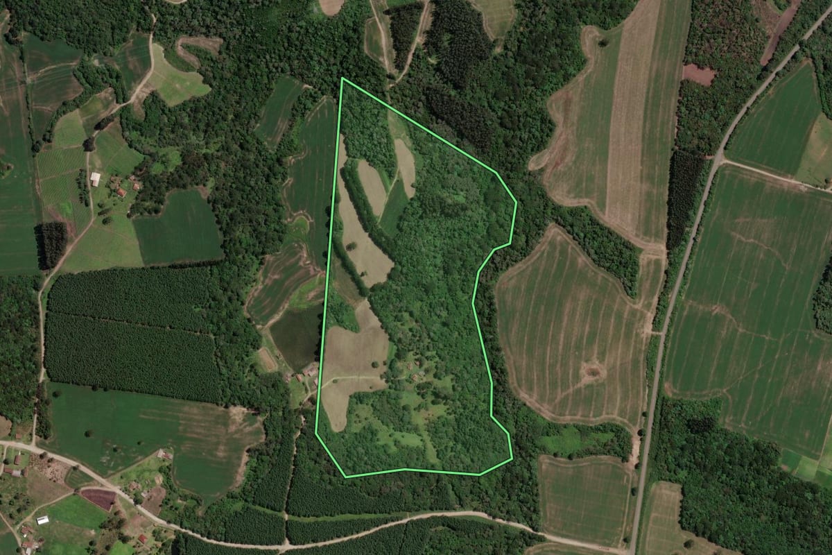 Imagem de satélite do imóvel rural em Mallet (PR), com o contorno declarado no CAR desenhado por cima.