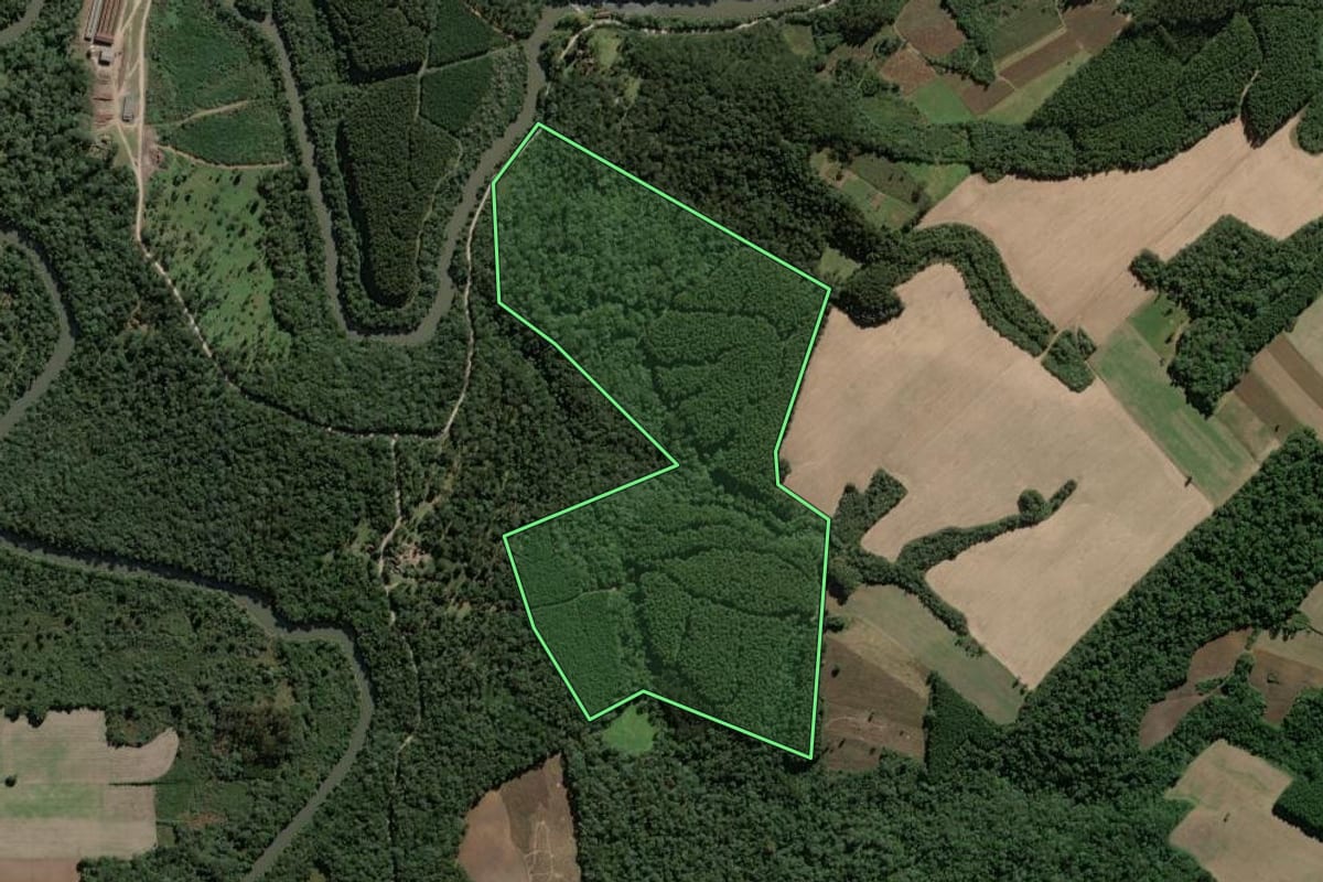 Imagem de satélite do imóvel rural em Mallet (PR), com o contorno declarado no CAR desenhado por cima.