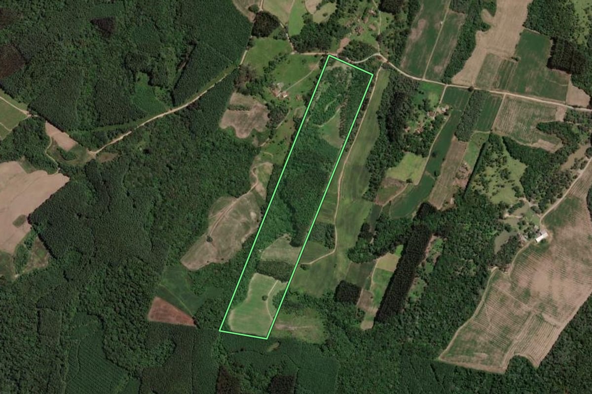Imagem de satélite do imóvel rural em Mallet (PR), com o contorno declarado no CAR desenhado por cima.