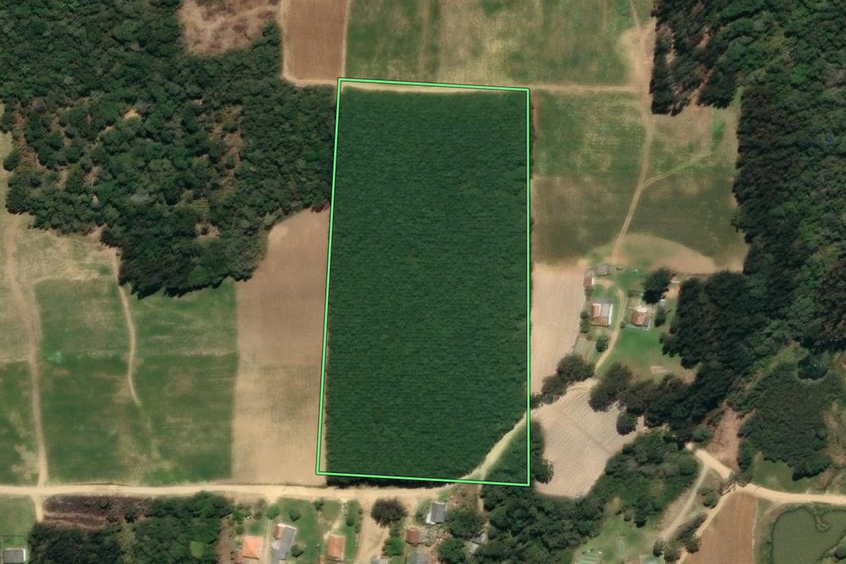 Imagem de satélite do imóvel rural em Mallet (PR), com o contorno declarado no CAR desenhado por cima.