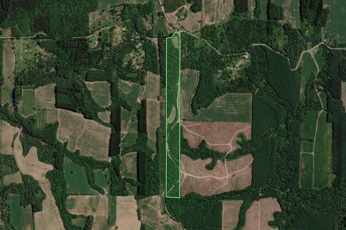 Imagem de satélite do imóvel rural em Mallet (PR), com o contorno declarado no CAR desenhado por cima.