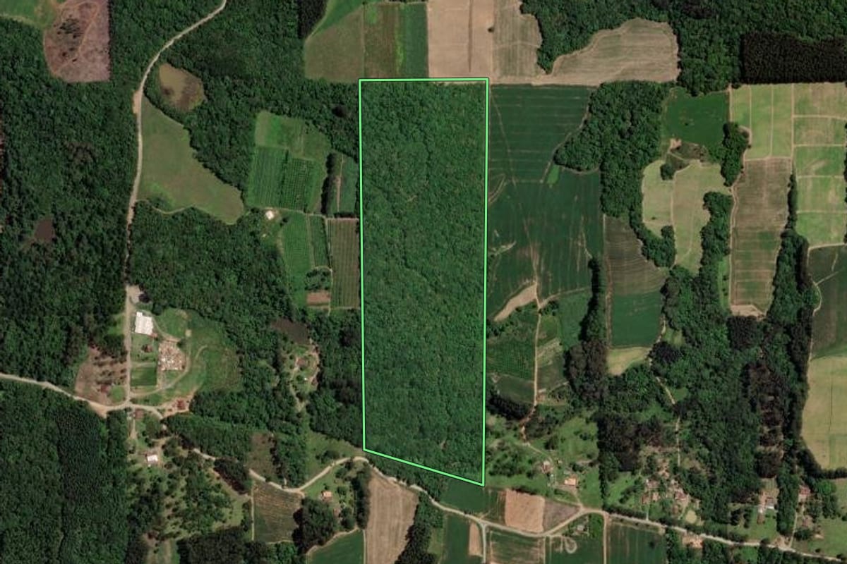 Imagem de satélite do imóvel rural em Mallet (PR), com o contorno declarado no CAR desenhado por cima.