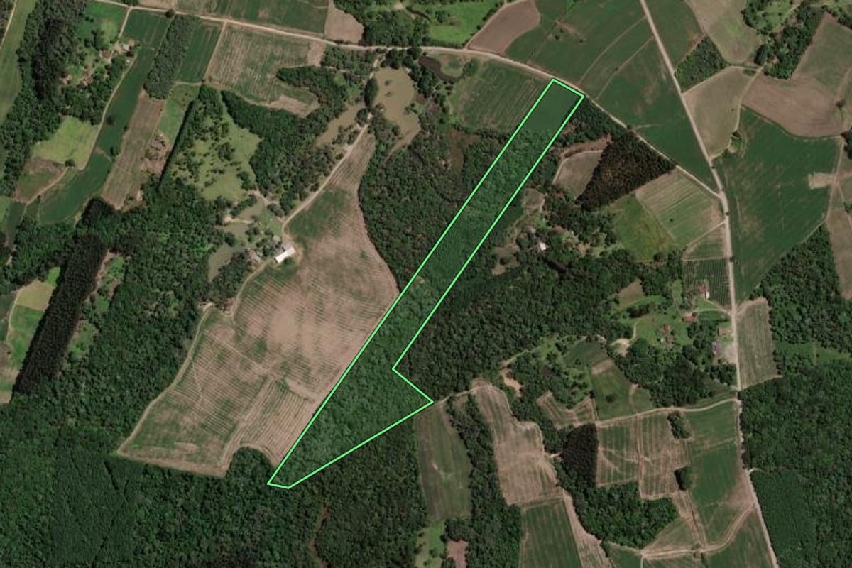 Imagem de satélite do imóvel rural em Mallet (PR), com o contorno declarado no CAR desenhado por cima.