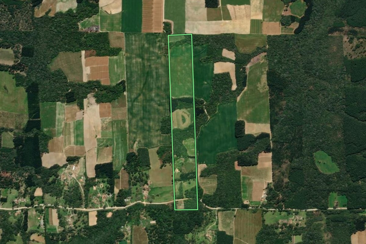 Imagem de satélite do imóvel rural em Mallet (PR), com o contorno declarado no CAR desenhado por cima.