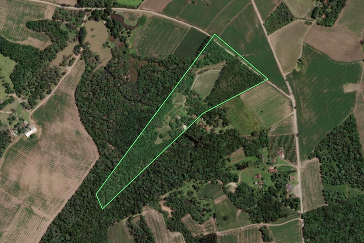 Imagem de satélite do imóvel rural em Mallet (PR), com o contorno declarado no CAR desenhado por cima.