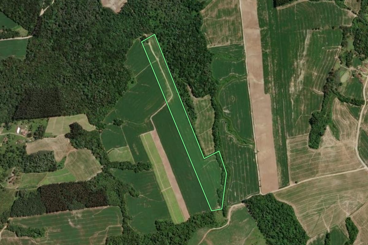 Imagem de satélite do imóvel rural em Mallet (PR), com o contorno declarado no CAR desenhado por cima.