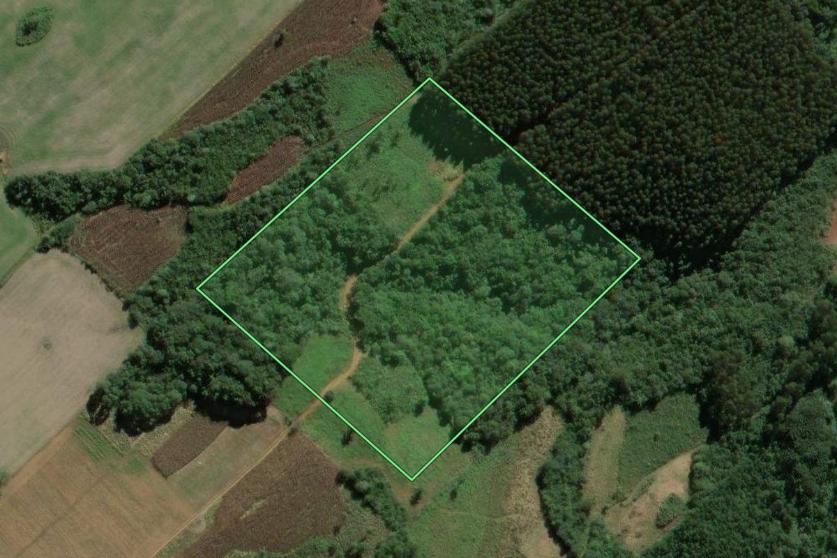 Imagem de satélite do imóvel rural em Mallet (PR), com o contorno declarado no CAR desenhado por cima.