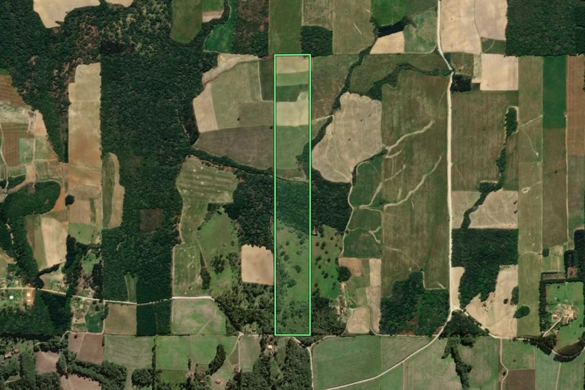 Imagem de satélite do imóvel rural em Mallet (PR), com o contorno declarado no CAR desenhado por cima.