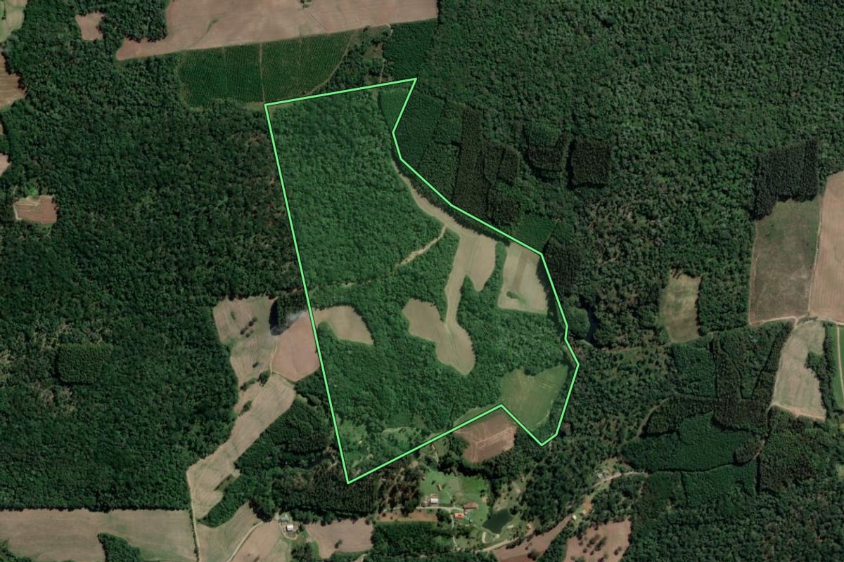 Imagem de satélite do imóvel rural em Mallet (PR), com o contorno declarado no CAR desenhado por cima.