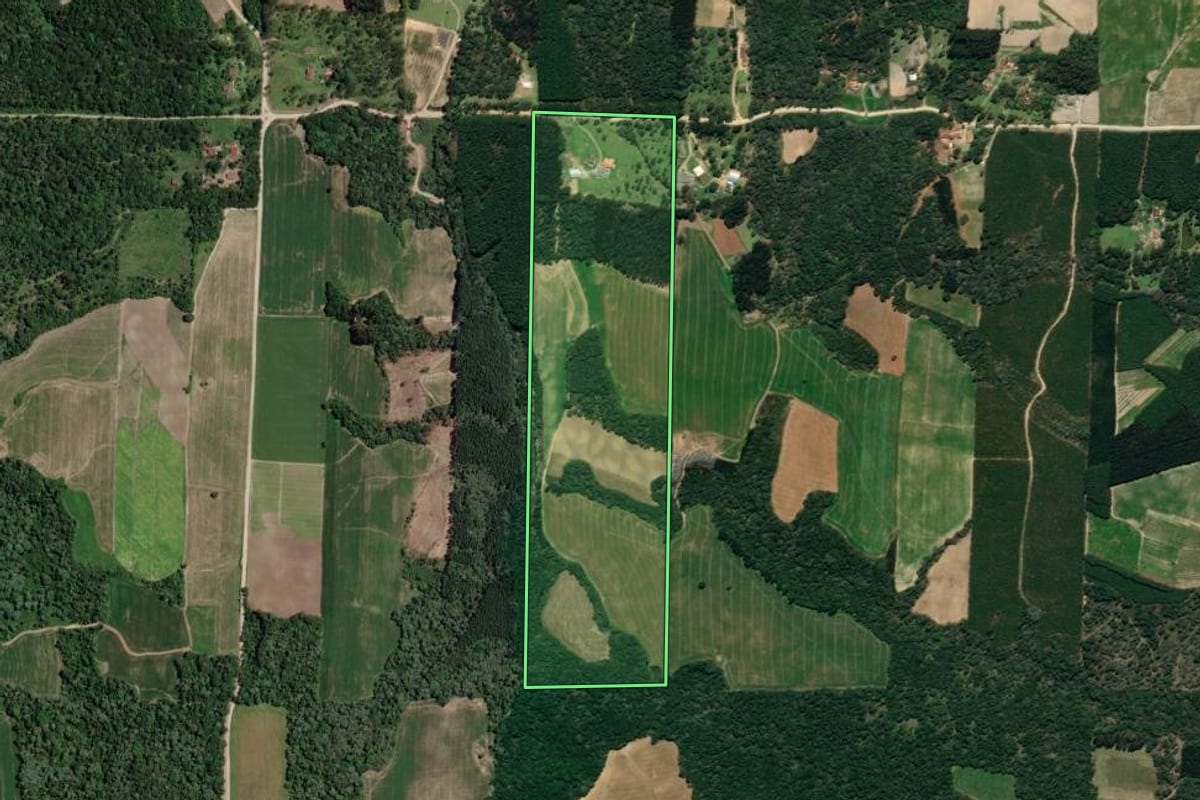 Imagem de satélite do imóvel rural em Mallet (PR), com o contorno declarado no CAR desenhado por cima.