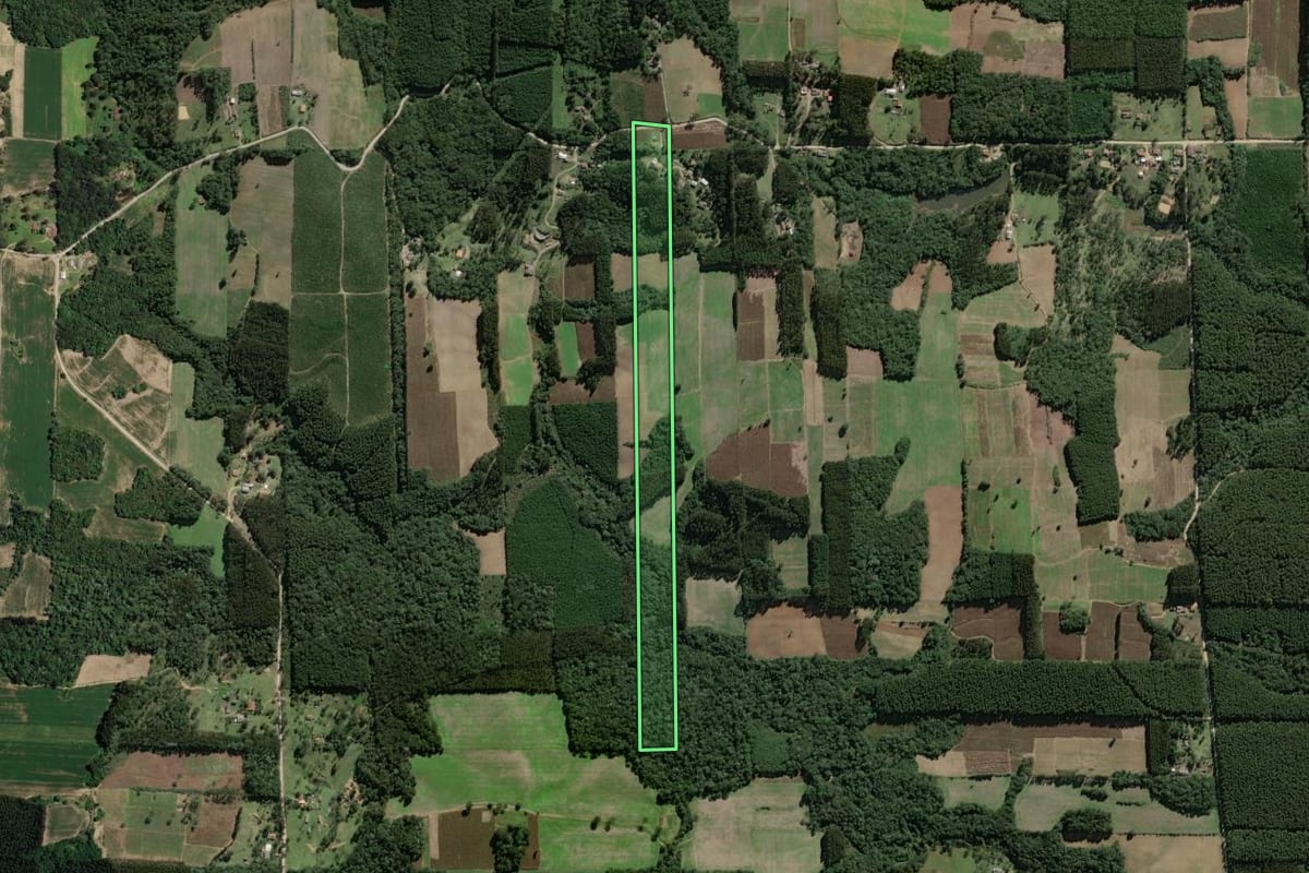 Imagem de satélite do imóvel rural em Mallet (PR), com o contorno declarado no CAR desenhado por cima.