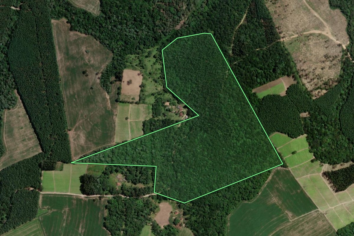 Imagem de satélite do imóvel rural em Mallet (PR), com o contorno declarado no CAR desenhado por cima.