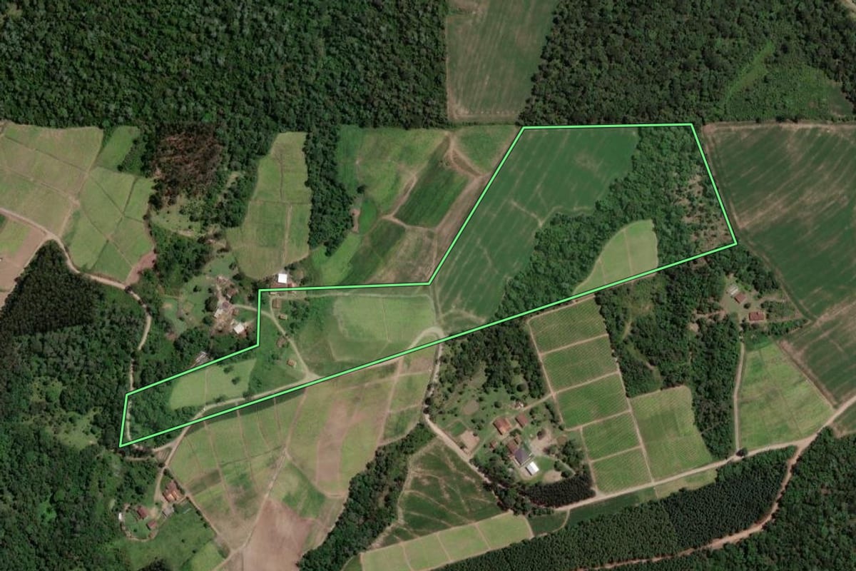 Imagem de satélite do imóvel rural em Mallet (PR), com o contorno declarado no CAR desenhado por cima.