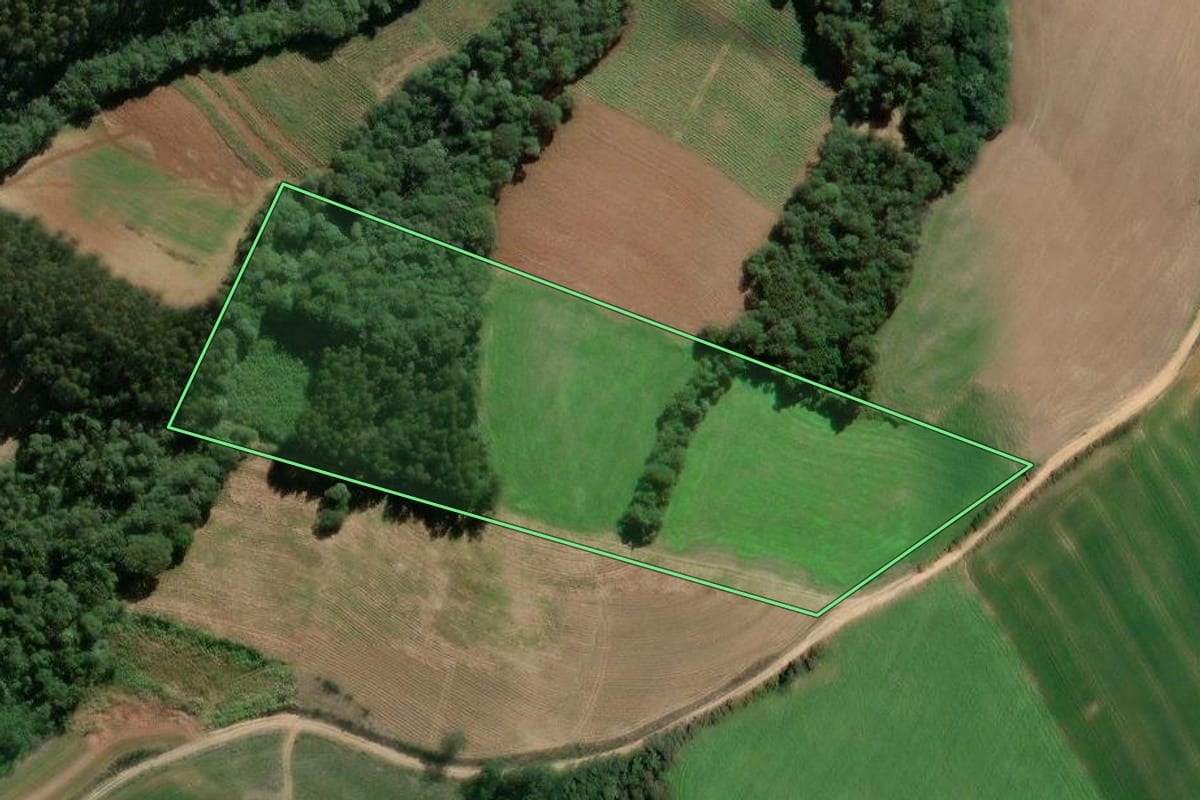 Imagem de satélite do imóvel rural em Mallet (PR), com o contorno declarado no CAR desenhado por cima.