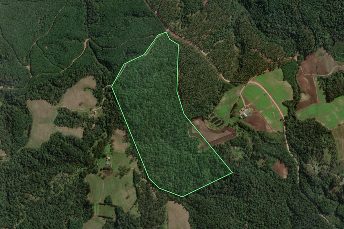 Imagem de satélite do imóvel rural em Mallet (PR), com o contorno declarado no CAR desenhado por cima.