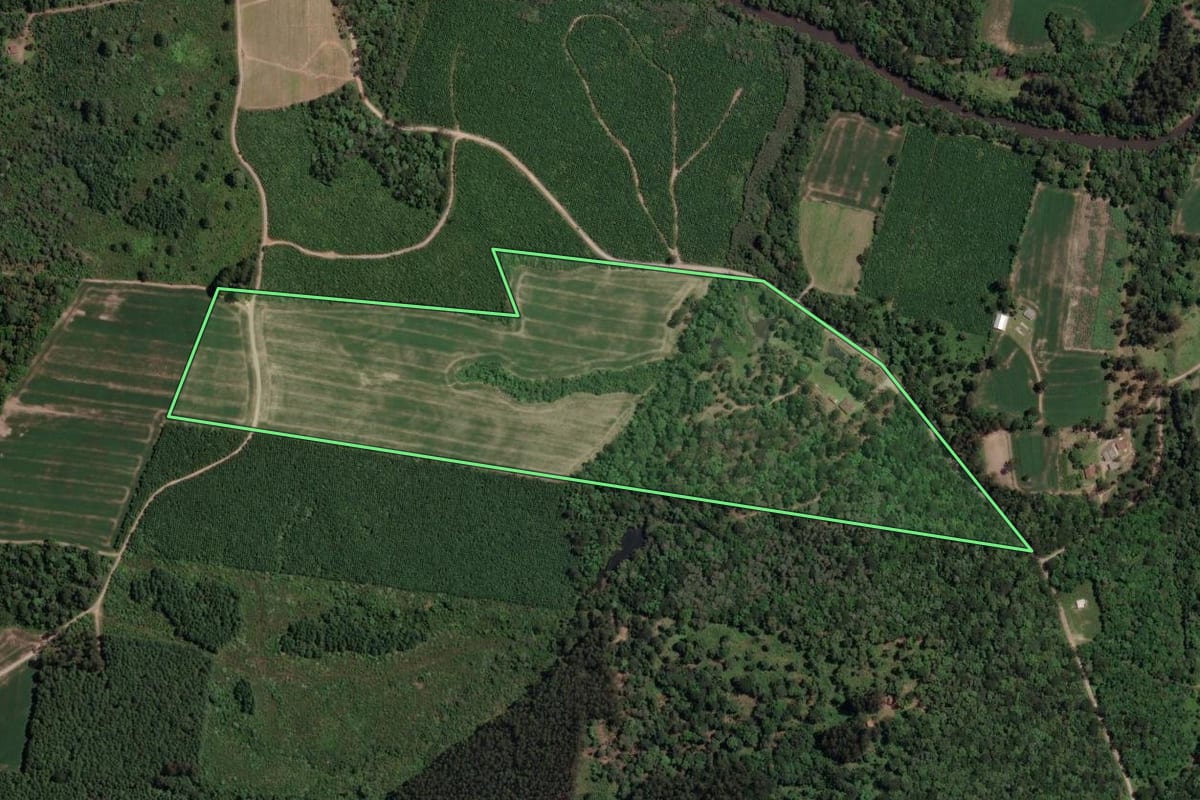 Imagem de satélite do imóvel rural em Mallet (PR), com o contorno declarado no CAR desenhado por cima.