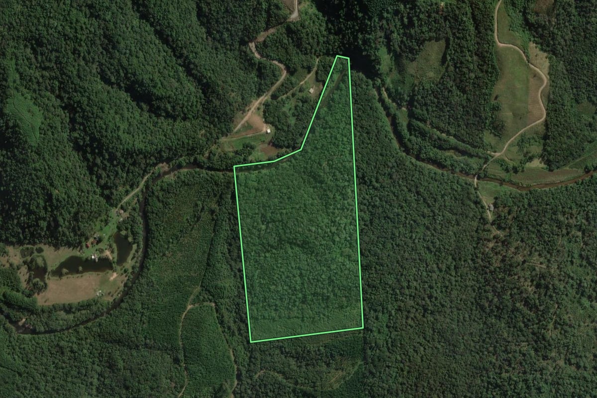 Imagem de satélite do imóvel rural em Mallet (PR), com o contorno declarado no CAR desenhado por cima.