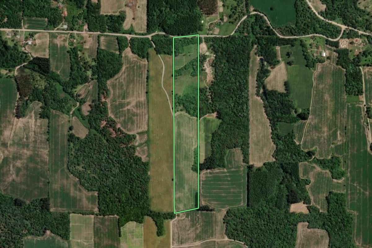 Imagem de satélite do imóvel rural em Mallet (PR), com o contorno declarado no CAR desenhado por cima.