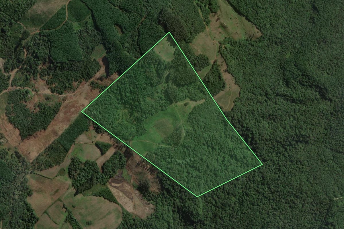 Imagem de satélite do imóvel rural em Mallet (PR), com o contorno declarado no CAR desenhado por cima.