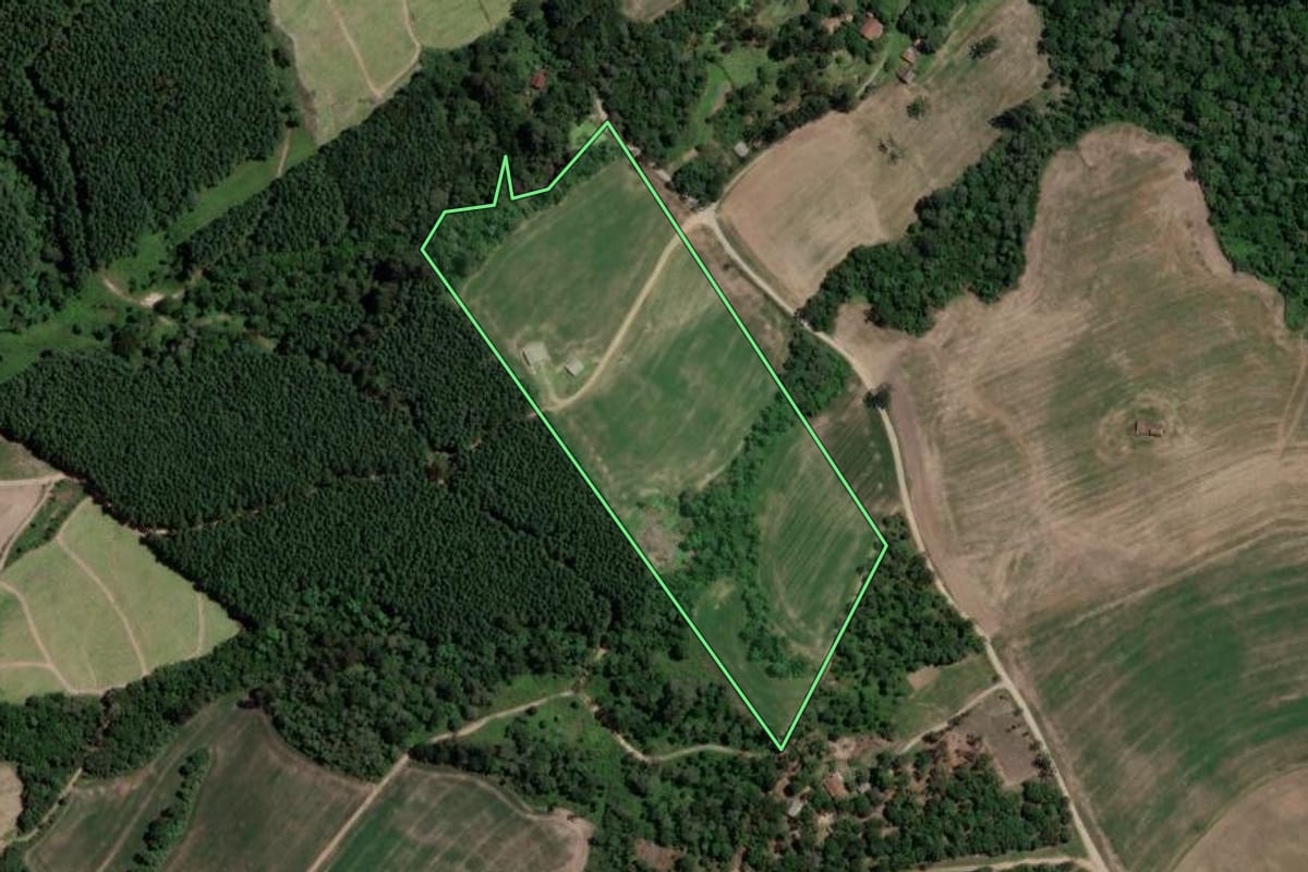 Imagem de satélite do imóvel rural em Mallet (PR), com o contorno declarado no CAR desenhado por cima.