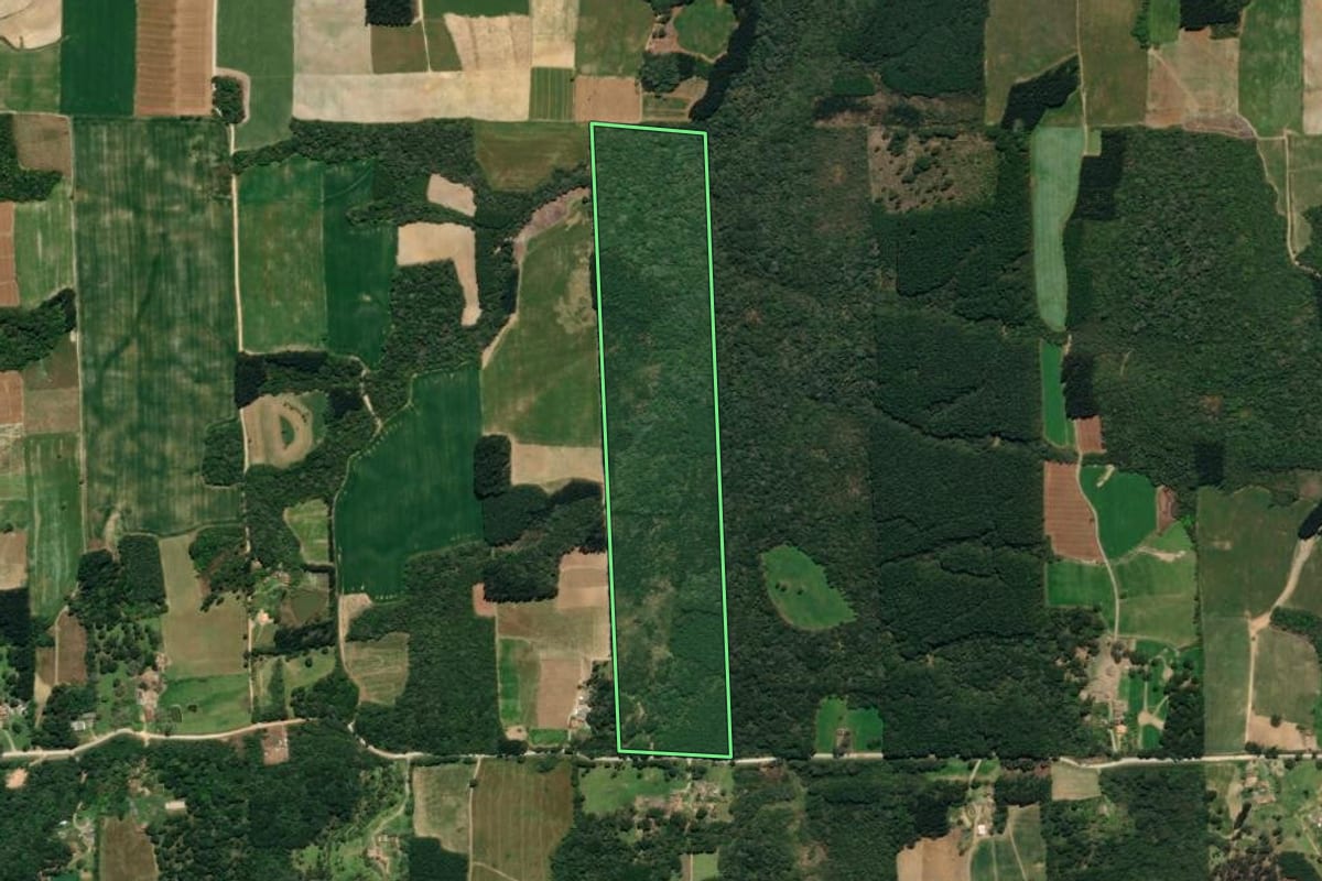 Imagem de satélite do imóvel rural em Mallet (PR), com o contorno declarado no CAR desenhado por cima.