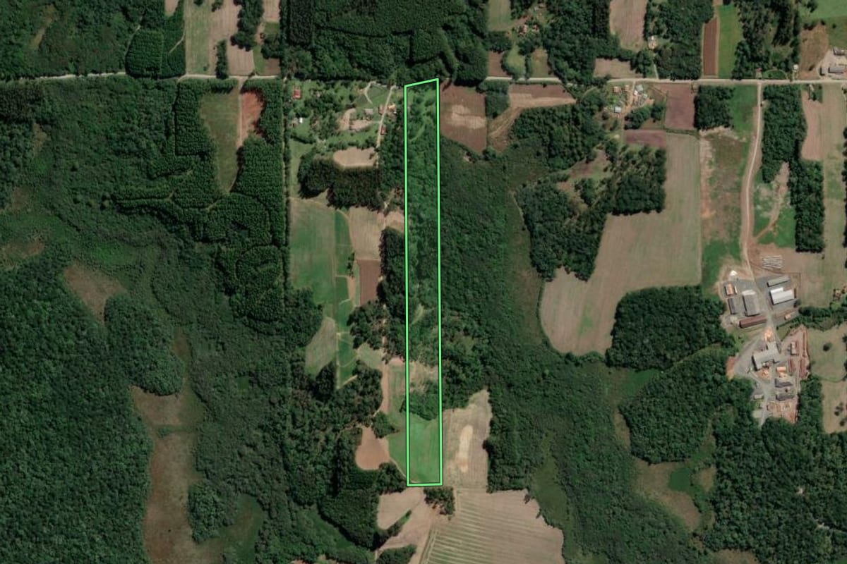 Imagem de satélite do imóvel rural em Mallet (PR), com o contorno declarado no CAR desenhado por cima.