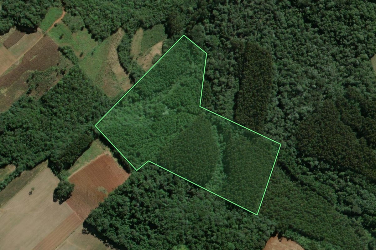 Imagem de satélite do imóvel rural em Mallet (PR), com o contorno declarado no CAR desenhado por cima.