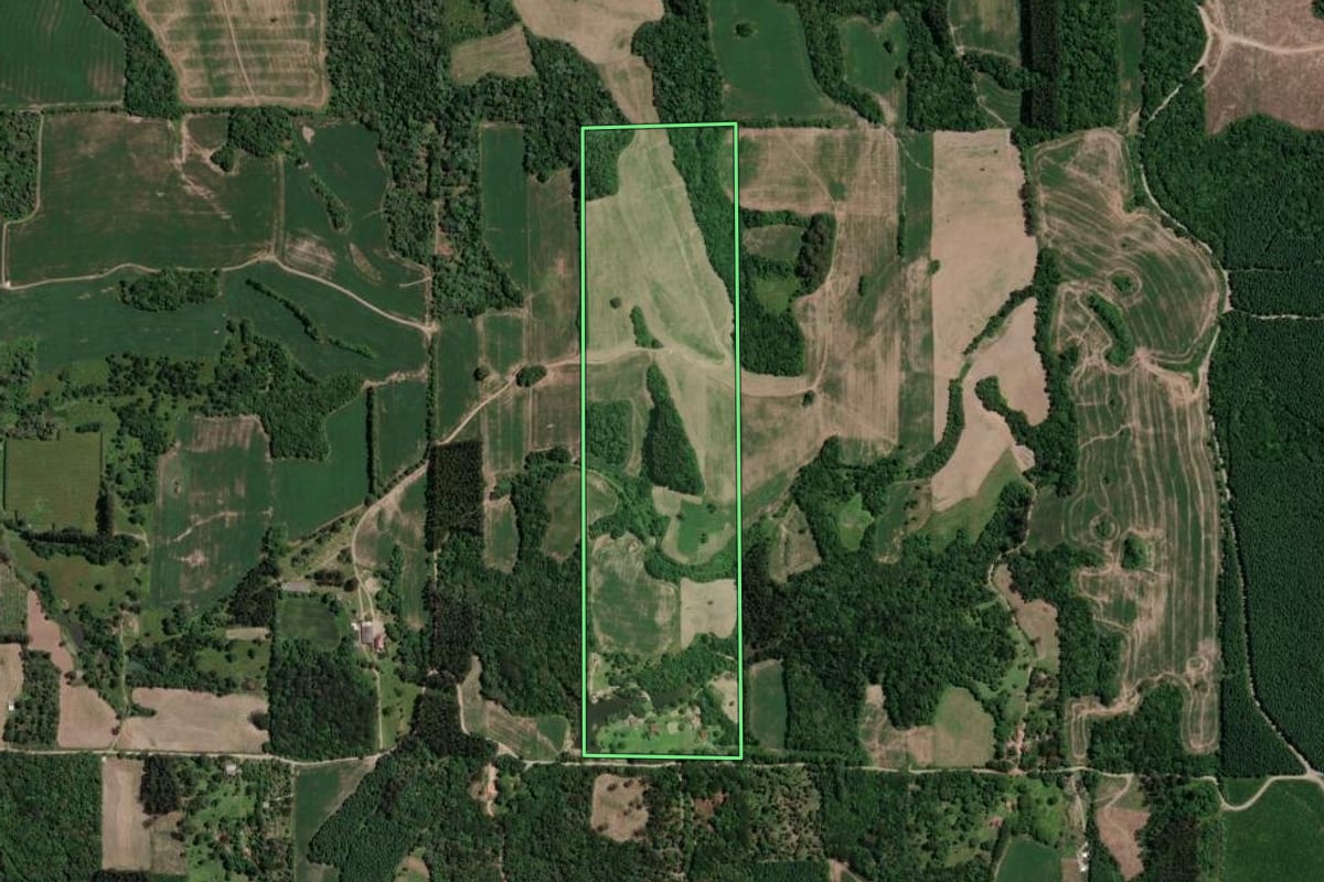 Imagem de satélite do imóvel rural em Mallet (PR), com o contorno declarado no CAR desenhado por cima.