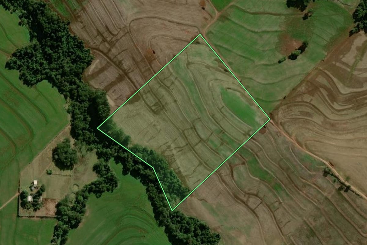 Imagem de satélite do imóvel rural em Mamborê (PR), com o contorno declarado no CAR desenhado por cima.