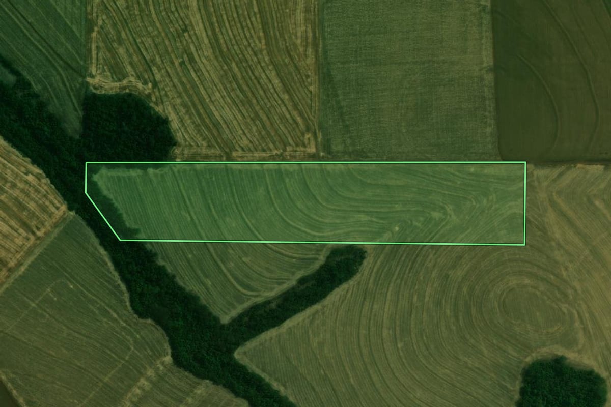 Imagem de satélite do imóvel rural em Mamborê (PR), com o contorno declarado no CAR desenhado por cima.
