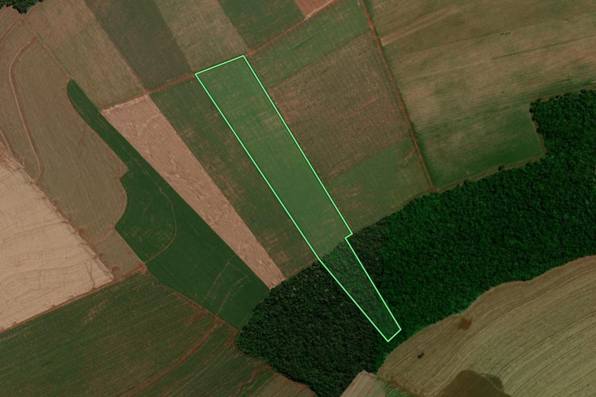 Imagem de satélite do imóvel rural em Mamborê (PR), com o contorno declarado no CAR desenhado por cima.
