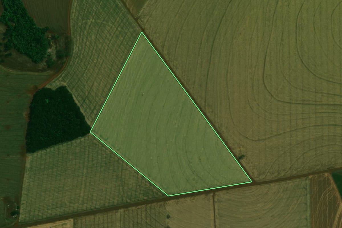 Imagem de satélite do imóvel rural em Mamborê (PR), com o contorno declarado no CAR desenhado por cima.