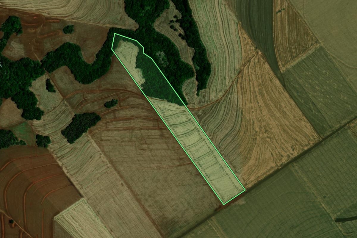 Imagem de satélite do imóvel rural em Mamborê (PR), com o contorno declarado no CAR desenhado por cima.