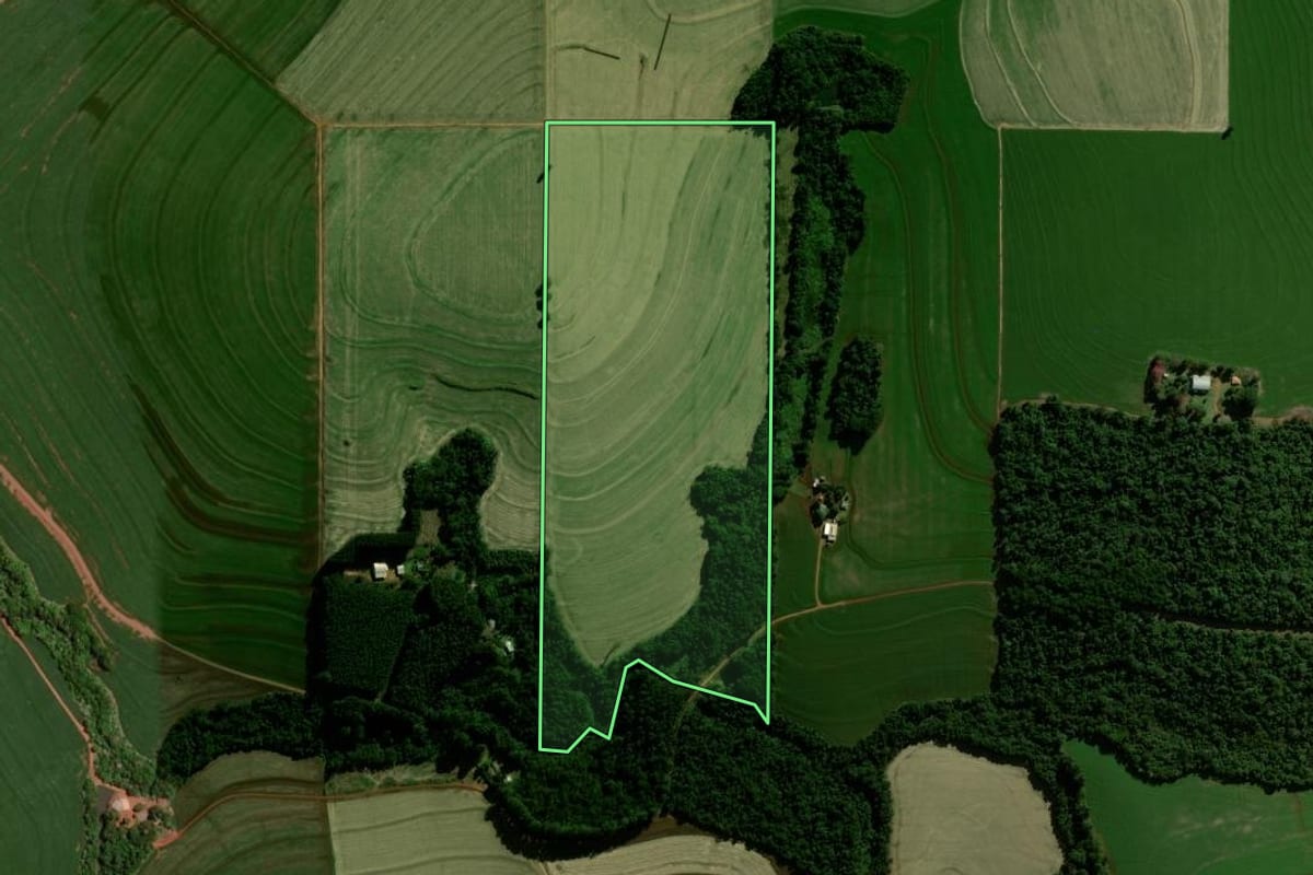 Imagem de satélite do imóvel rural em Mamborê (PR), com o contorno declarado no CAR desenhado por cima.