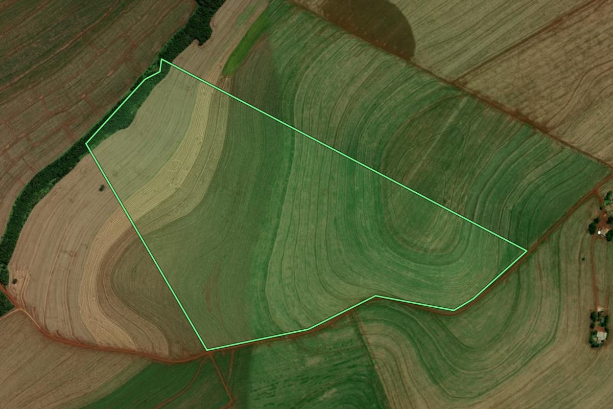 Imagem de satélite do imóvel rural em Mamborê (PR), com o contorno declarado no CAR desenhado por cima.