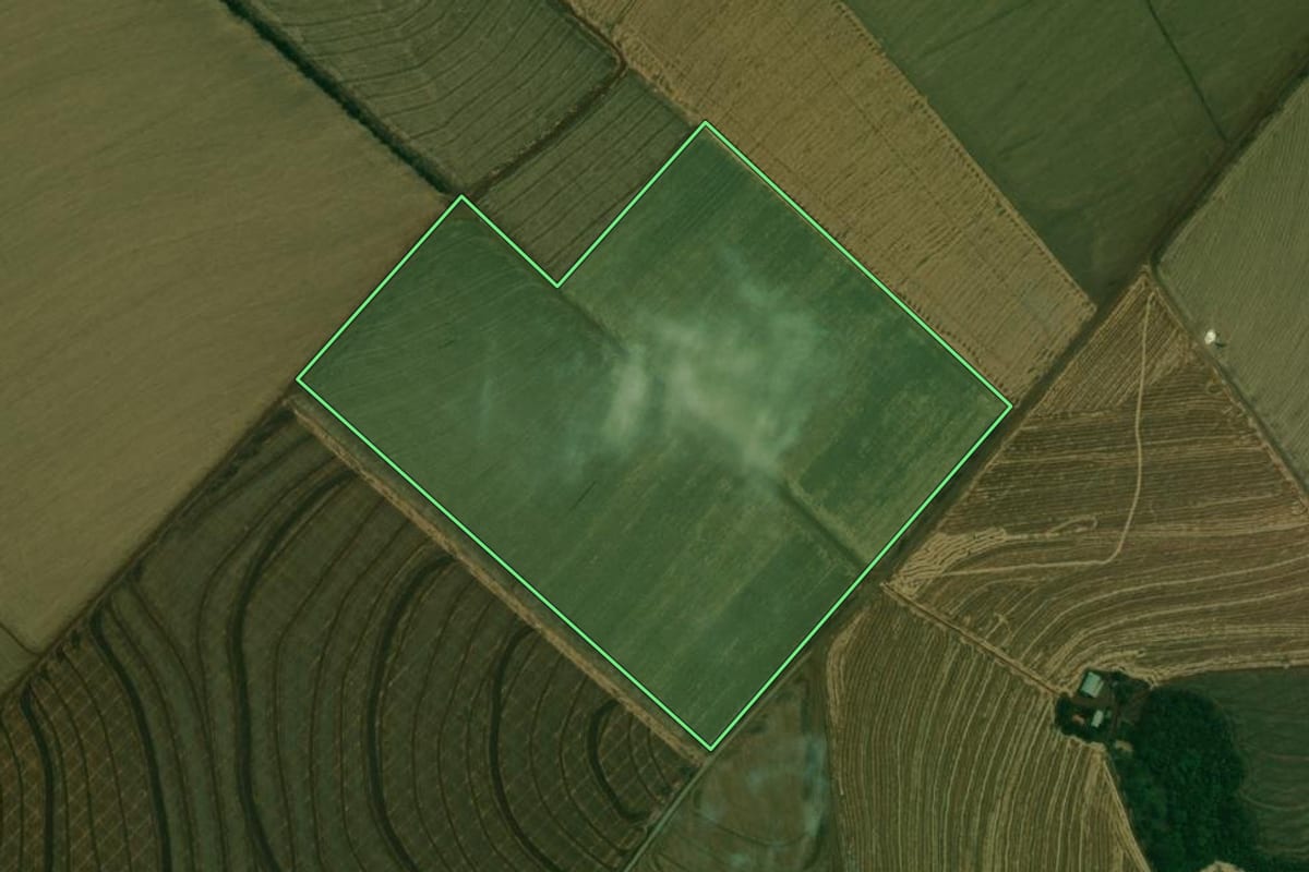 Imagem de satélite do imóvel rural em Mamborê (PR), com o contorno declarado no CAR desenhado por cima.