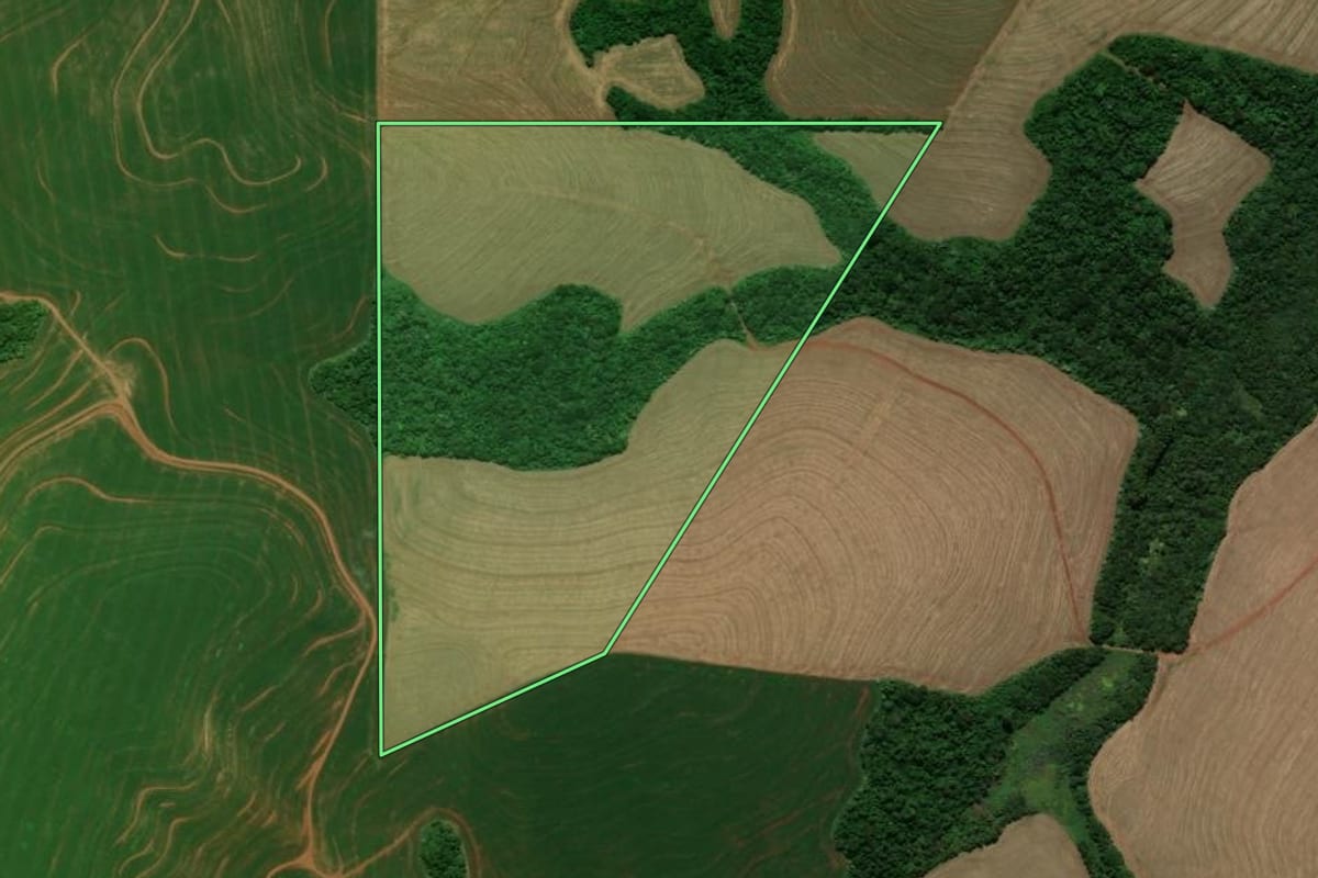 Imagem de satélite do imóvel rural em Mamborê (PR), com o contorno declarado no CAR desenhado por cima.