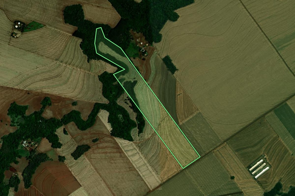 Imagem de satélite do imóvel rural em Mamborê (PR), com o contorno declarado no CAR desenhado por cima.