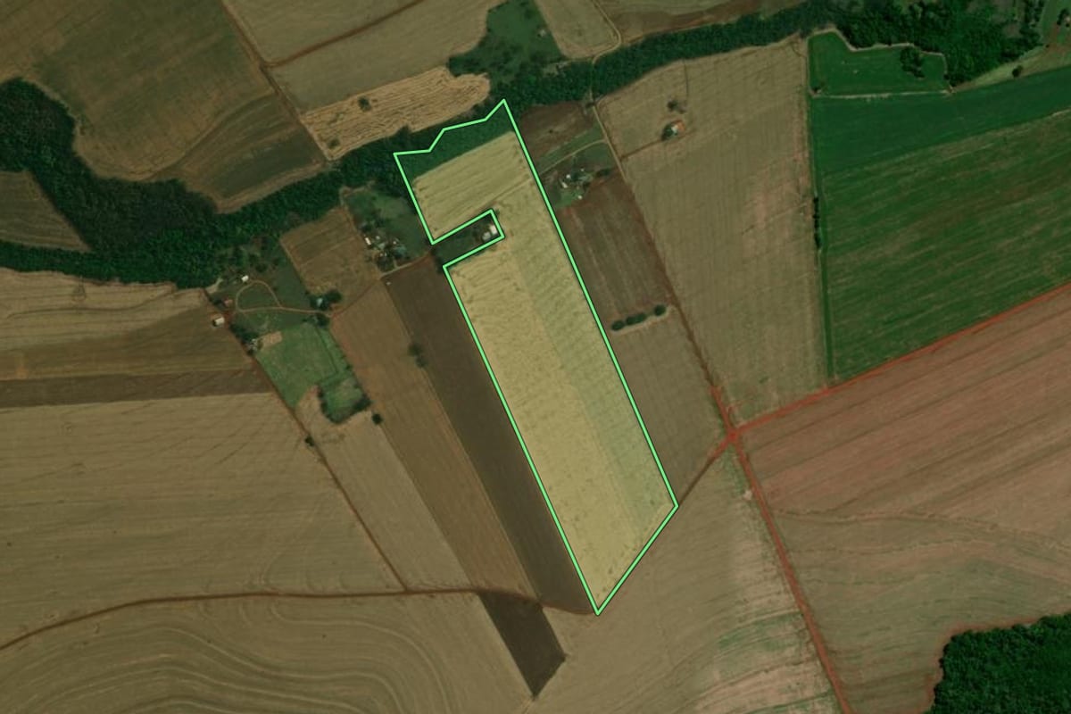 Imagem de satélite do imóvel rural em Mamborê (PR), com o contorno declarado no CAR desenhado por cima.