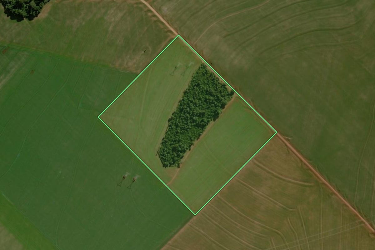Imagem de satélite do imóvel rural em Mamborê (PR), com o contorno declarado no CAR desenhado por cima.