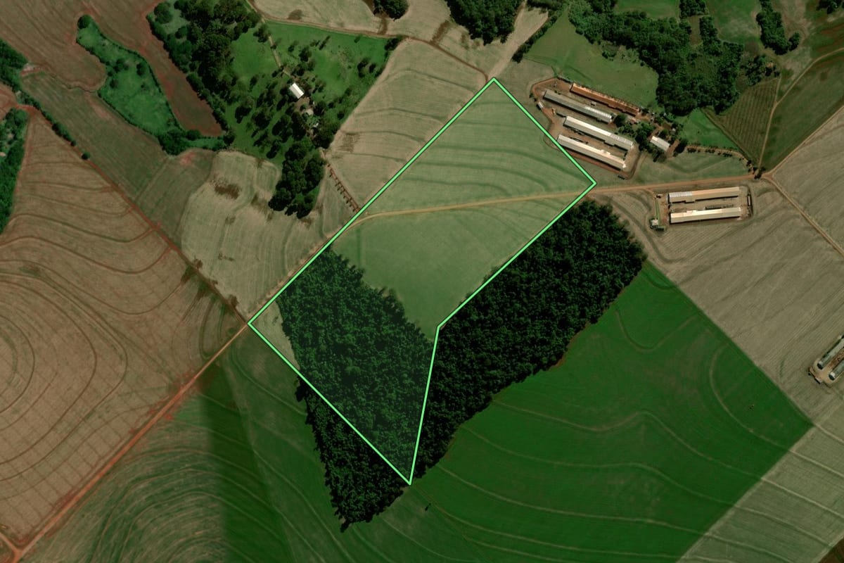Imagem de satélite do imóvel rural em Mamborê (PR), com o contorno declarado no CAR desenhado por cima.