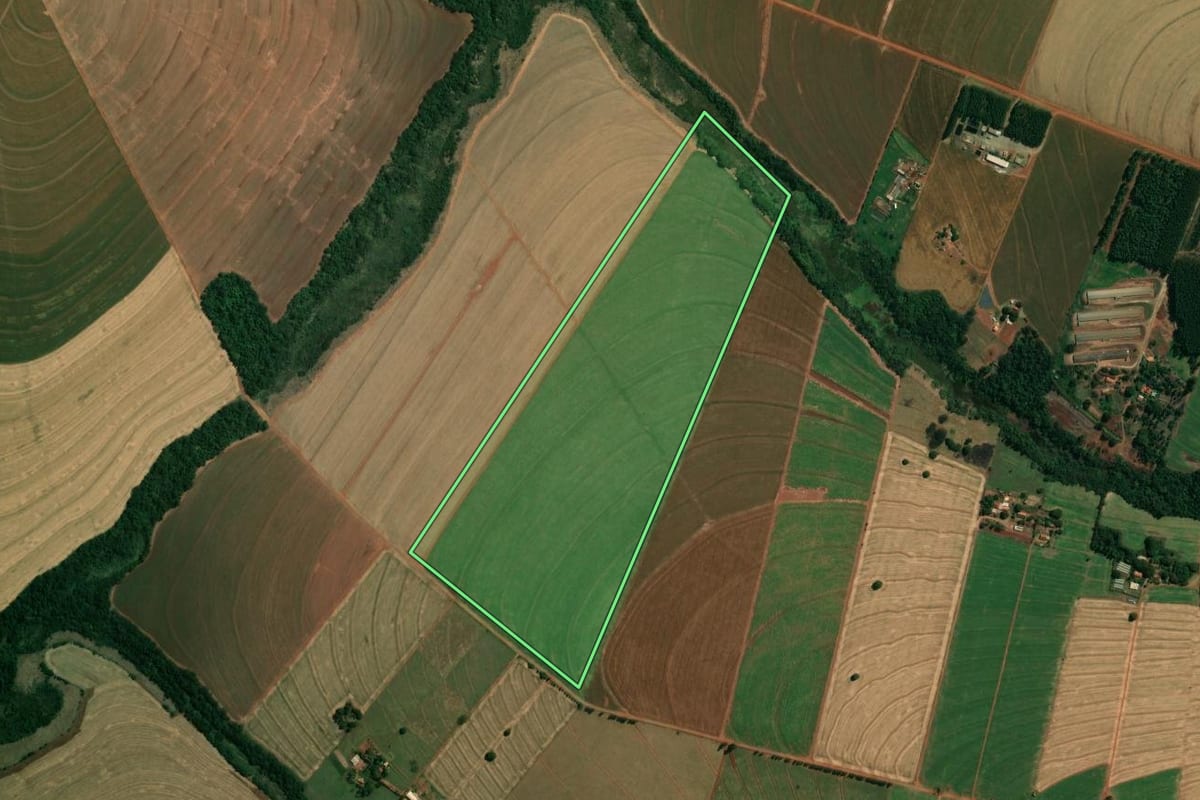 Imagem de satélite do imóvel rural em Mandaguaçu (PR), com o contorno declarado no CAR desenhado por cima.