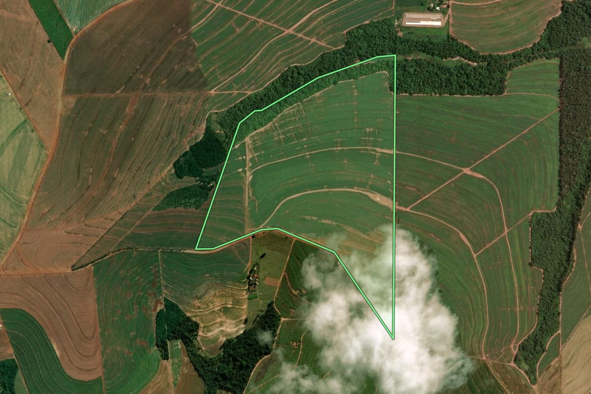 Imagem de satélite do imóvel rural em Mandaguaçu (PR), com o contorno declarado no CAR desenhado por cima.
