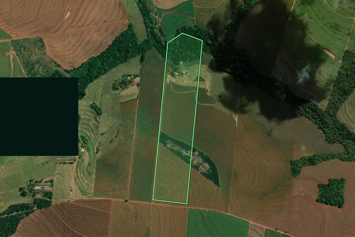 Imagem de satélite do imóvel rural em Mandaguaçu (PR), com o contorno declarado no CAR desenhado por cima.