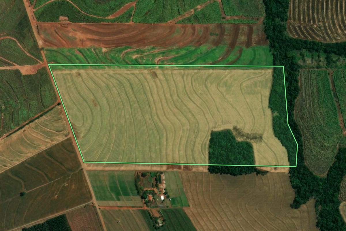 Imagem de satélite do imóvel rural em Mandaguaçu (PR), com o contorno declarado no CAR desenhado por cima.