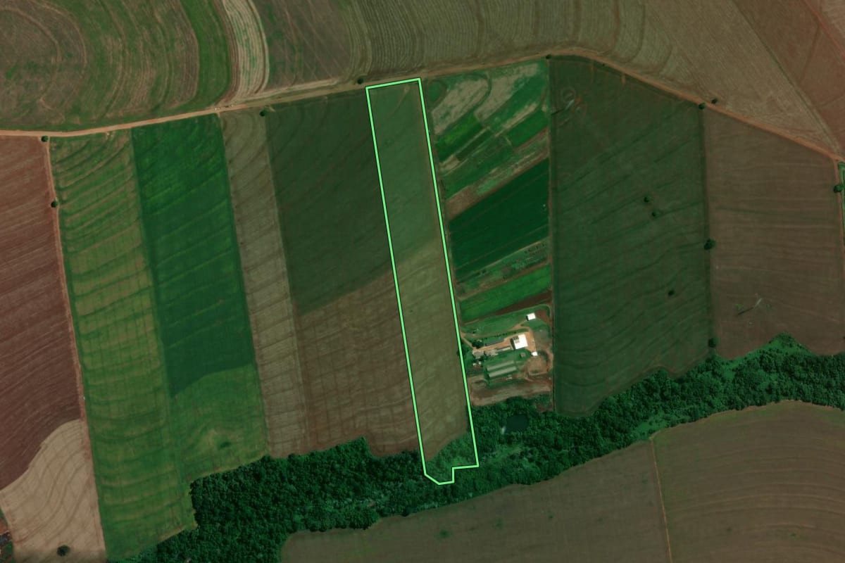 Imagem de satélite do imóvel rural em Mandaguaçu (PR), com o contorno declarado no CAR desenhado por cima.