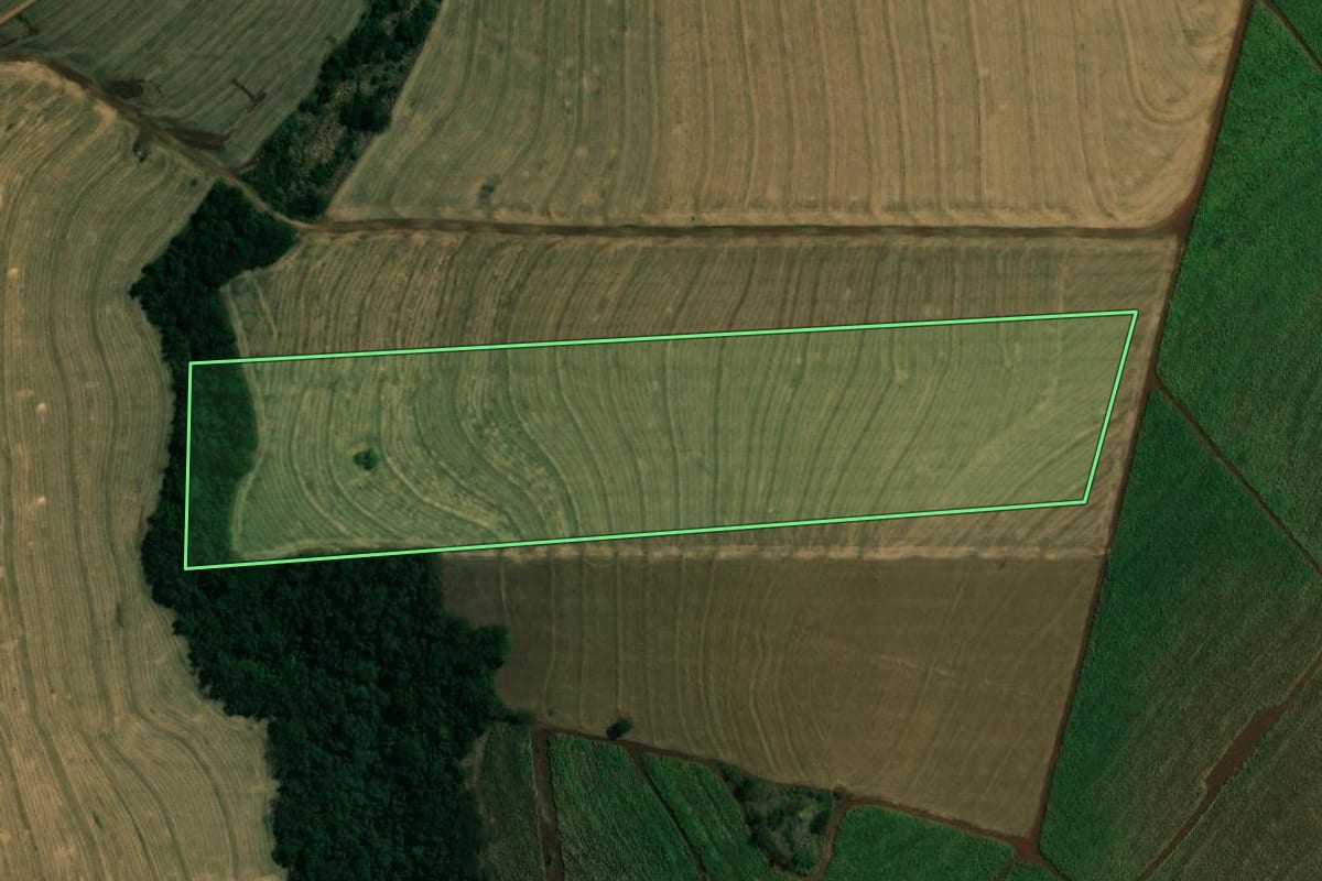Imagem de satélite do imóvel rural em Mandaguaçu (PR), com o contorno declarado no CAR desenhado por cima.