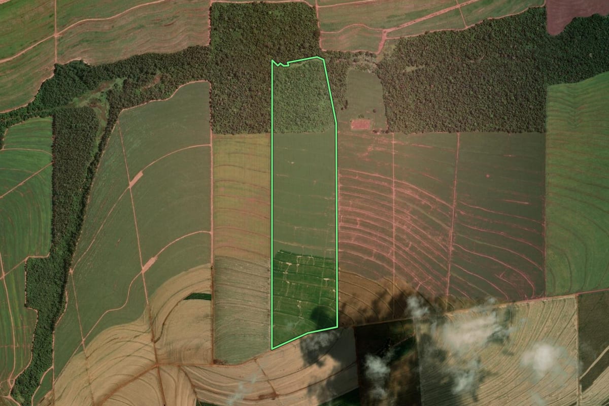 Imagem de satélite do imóvel rural em Mandaguaçu (PR), com o contorno declarado no CAR desenhado por cima.