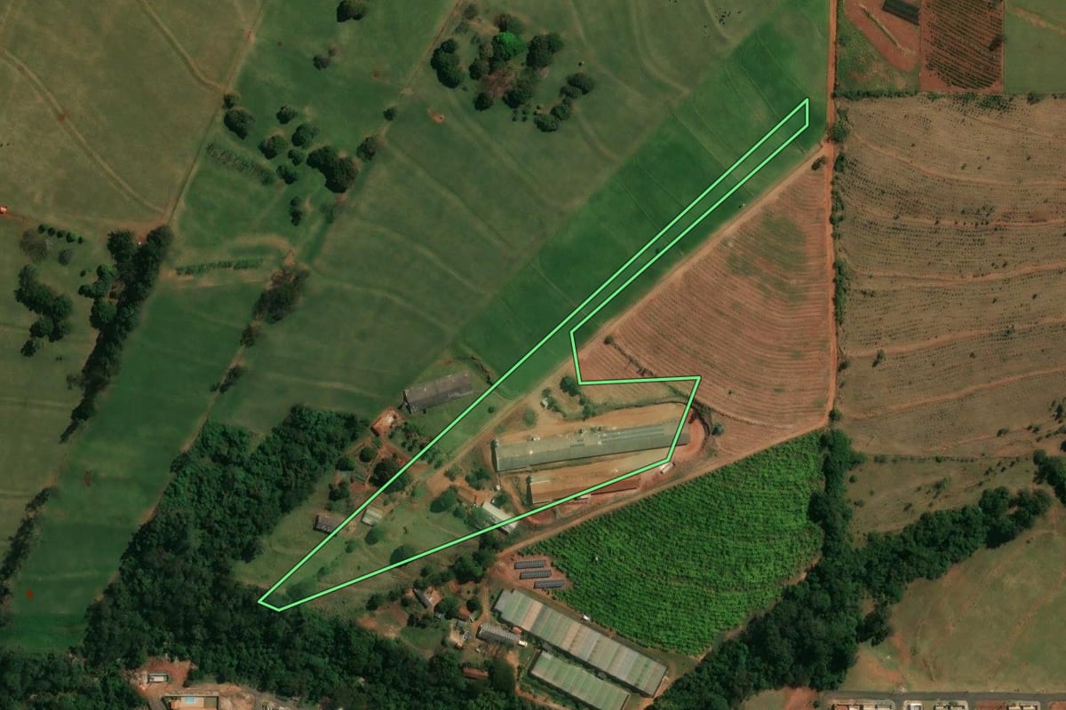 Imagem de satélite do imóvel rural em Mandaguaçu (PR), com o contorno declarado no CAR desenhado por cima.